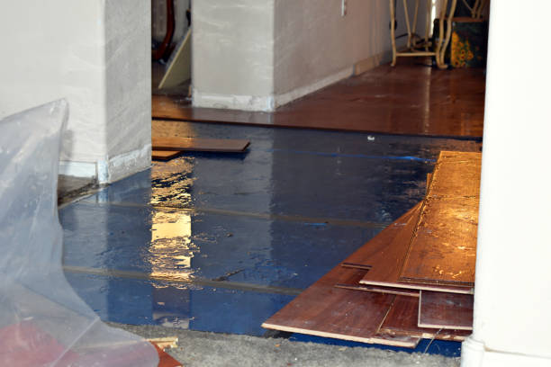 Professional Basement Flood Cleanup technician working in Coldwater, MS